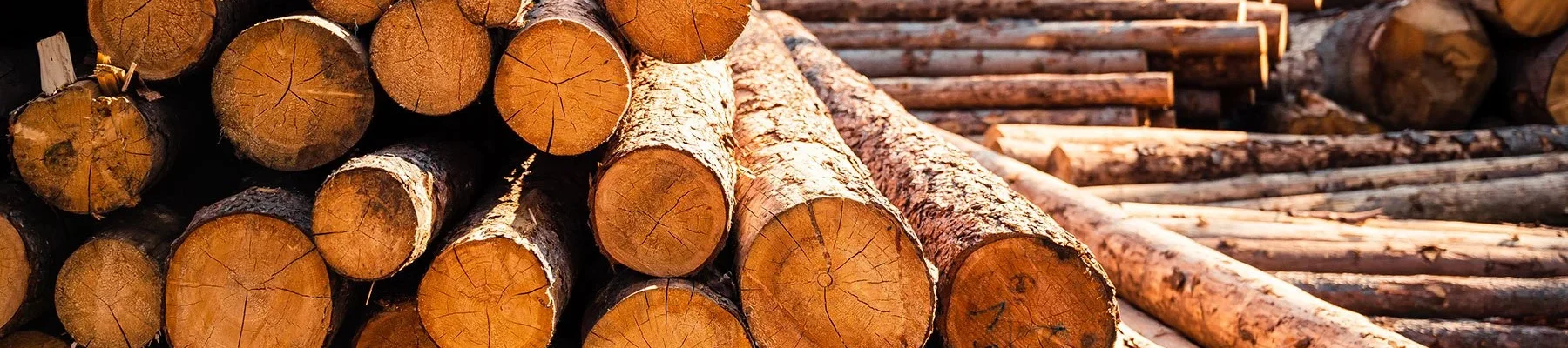 Key Industries That Rely on Hardwood Dunnage Every Day